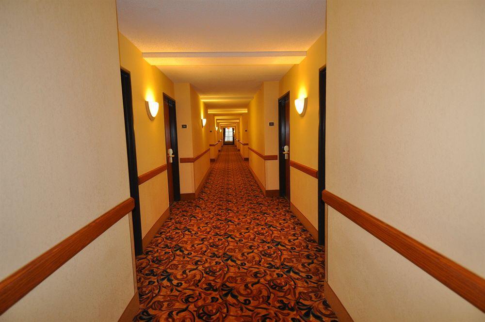Comfort Inn & Suites New Orleans Airport North Kenner Interior foto